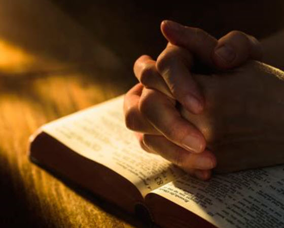 Prayer Intentions for the Week