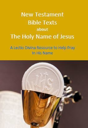 164-1 Book - New Testament Bible Texts About the Holy Name of Jesus