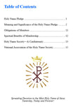 117 The Holy Name Pledge - It's Meaning; 5 Pack